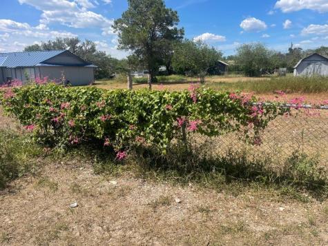 00 South Street Camp Wood TX 78833