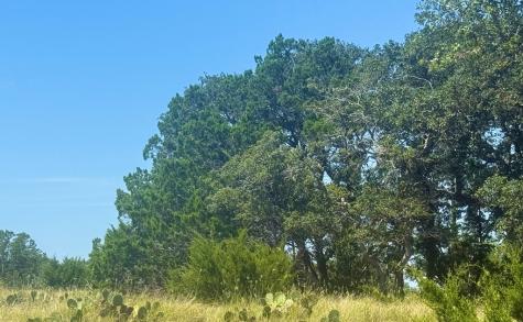 0 Winn Ranch Way Kerrville TX 78028