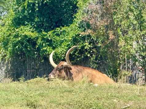 0 Winn Ranch Way Kerrville TX 78028