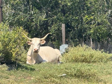 0 Winn Ranch Way Kerrville TX 78028