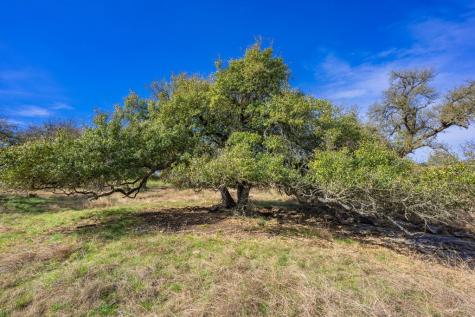 Lot 122 Fallow Drive Harper TX 78631