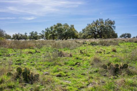 Lot 122 Fallow Drive Harper TX 78631