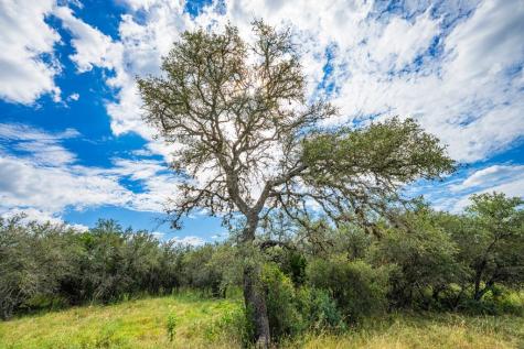 4233 Stone Creek Circle Kerrville TX 78028