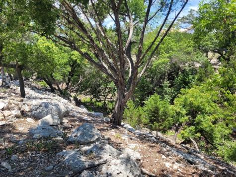 121 Cattlemans Crossing Drive Kerrville TX 78028