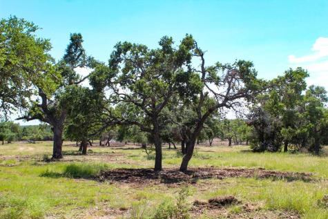 121 Paloma Ranch Road Mountain Home TX 78058