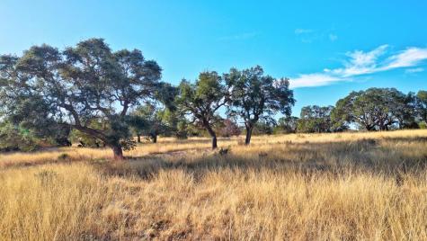 Lot 64 Walcott Ridges Drive Kerrville TX 78028