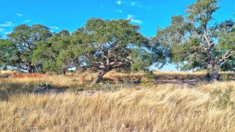 Lot 64 Walcott Ridges Drive Kerrville TX 78028