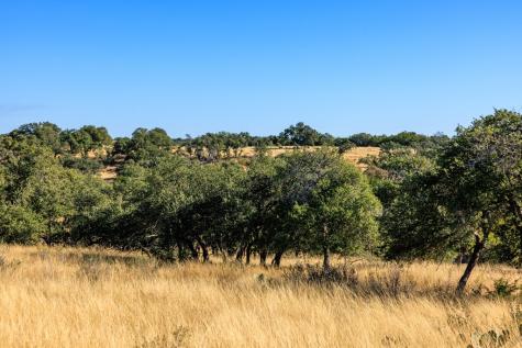 Lot 20 Mayers Ridge Drive Kerrville TX 78028
