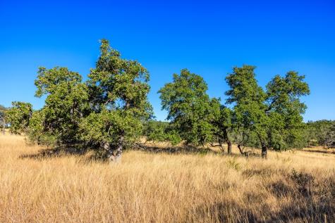 Lot 20 Mayers Ridge Drive Kerrville TX 78028