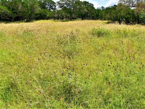 810 Spanish Oak Drive Kerrville TX 78028