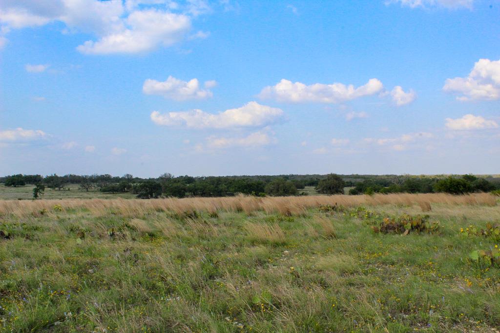 126 Nantan Lane Harper TX 78631