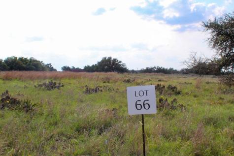 126 Nantan Lane Harper TX 78631