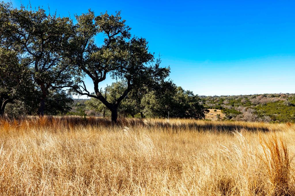 Lot 13 Pitre Springs Road Kerrville TX 78028