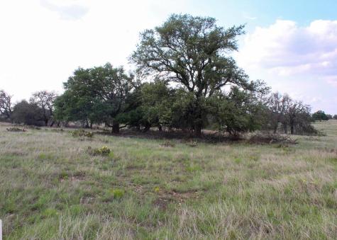 156 Nantan Lane Harper TX 78631