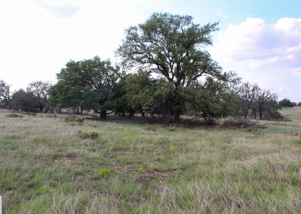 156 Nantan Lane Harper TX 78631