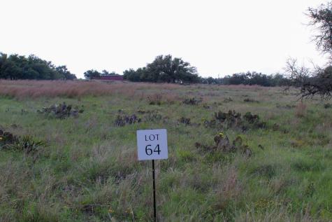 156 Nantan Lane Harper TX 78631