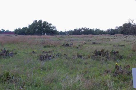 156 Nantan Lane Harper TX 78631