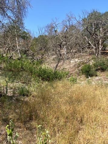 Lots 1-8 Stoneledge Drive Kerrville TX 78028