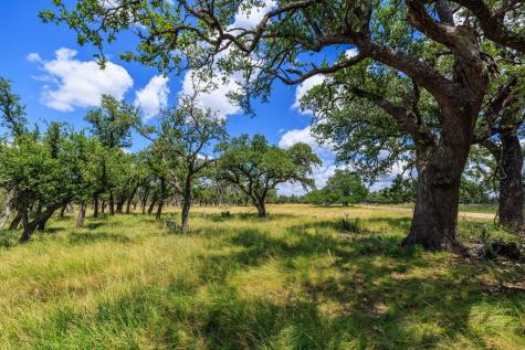 Lot 88 Stock Pond Drive Harper TX 78624
