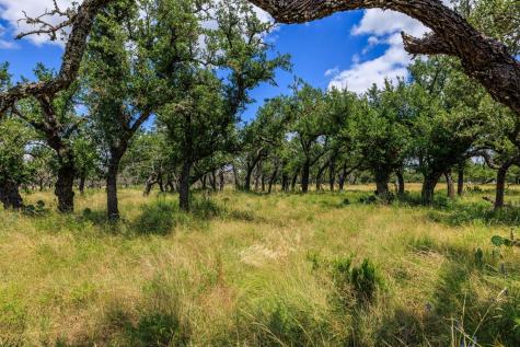 Lot 88 Stock Pond Drive Harper TX 78624