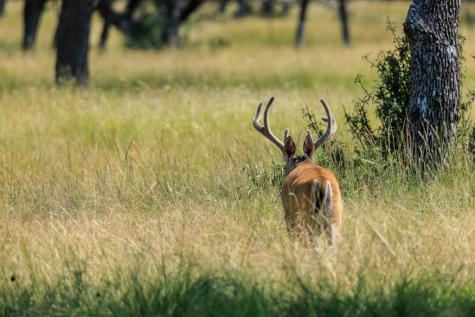 Lot 88 Stock Pond Drive Harper TX 78624