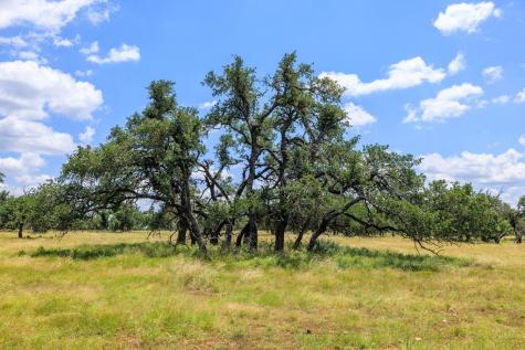 Lot 88 Stock Pond Drive Harper TX 78624