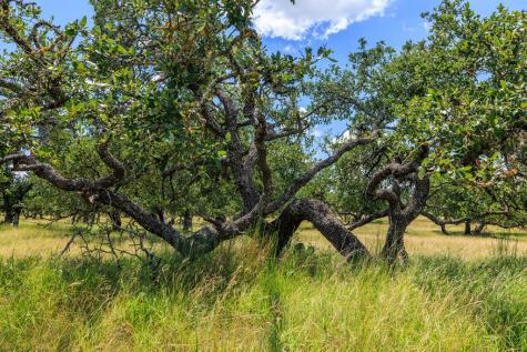 Lot 88 Stock Pond Drive Harper TX 78624