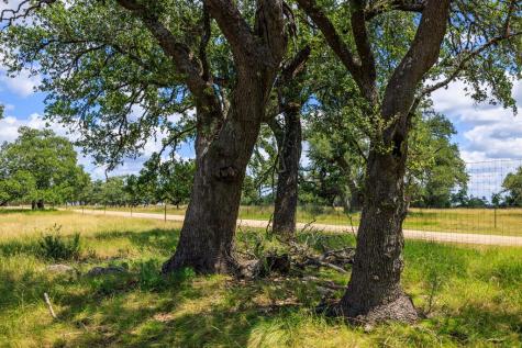 Lot 88 Stock Pond Drive Harper TX 78624