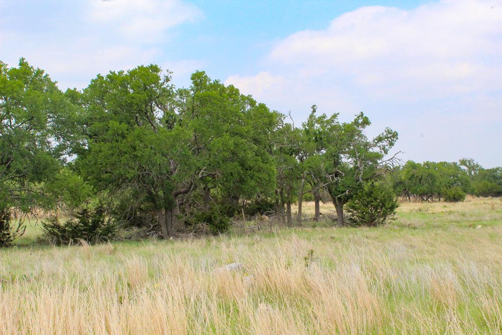 273 Nantan Lane Harper TX 78631