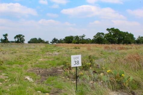273 Nantan Lane Harper TX 78631