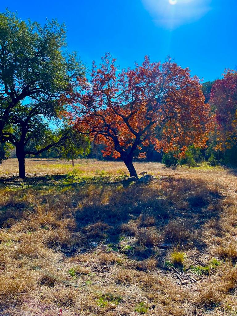 Lot 135 Shapen Springs Road Harper TX 78631