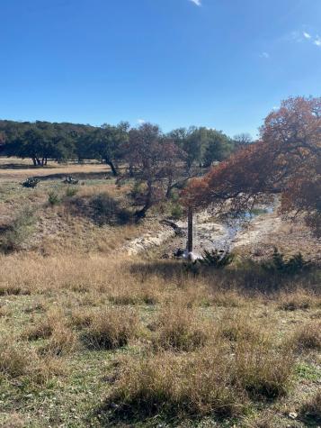 Lot 135 Shapen Springs Road Harper TX 78631