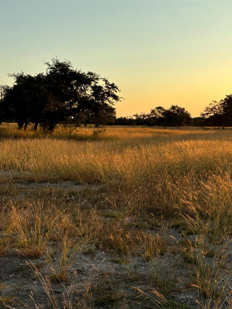 Lot 12 Pinnacle Drive Fredericksburg TX 78624