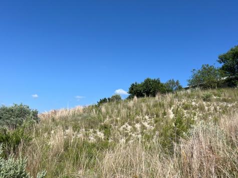2120 Bluff Ridge Drive Kerrville TX 78028