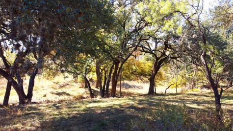 Tbd Highway 16 Bandera TX 78003