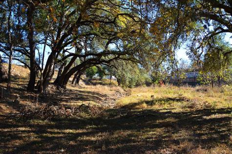Tbd Highway 16 Bandera TX 78003