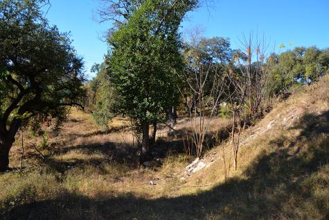 Tbd Highway 16 Bandera TX 78003