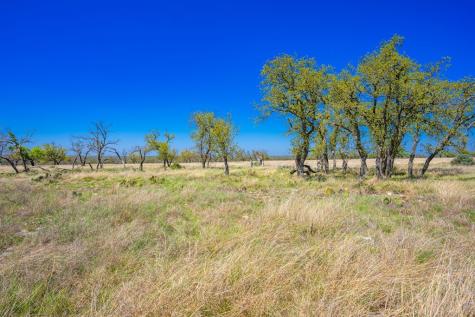 Lot 114 Stock Pond Drive Harper TX 78631