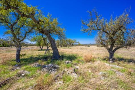 Lot 114 Stock Pond Drive Harper TX 78631