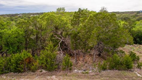 183 Other Spring Branch TX 78070
