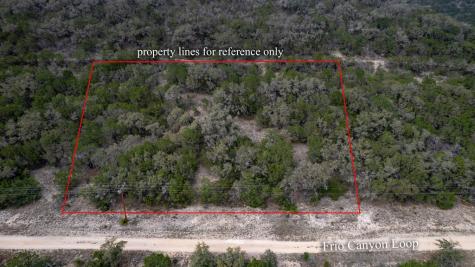 430 Frio Canyon Loop Concan TX 78838