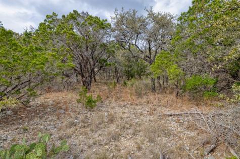430 Frio Canyon Loop Concan TX 78838