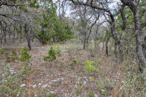 430 Frio Canyon Loop Concan TX 78838