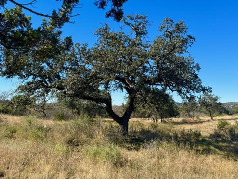 19240 W Highway 337 Camp Wood TX 78833