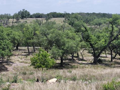 19 Mayers Ridge Drive Kerrville TX 78028