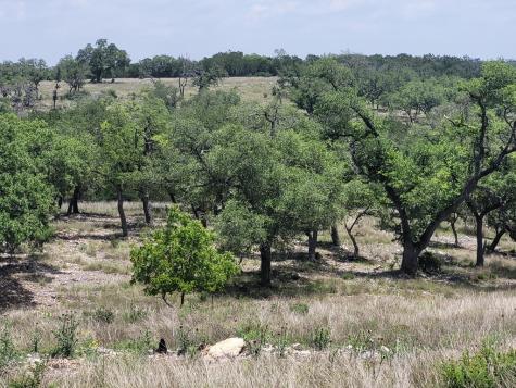19 Mayers Ridge Drive Kerrville TX 78028