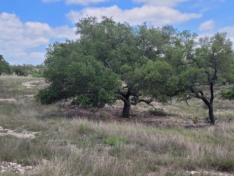 19 Mayers Ridge Drive Kerrville TX 78028