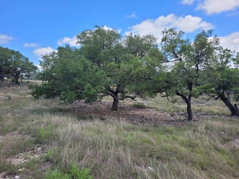 19 Mayers Ridge Drive Kerrville TX 78028