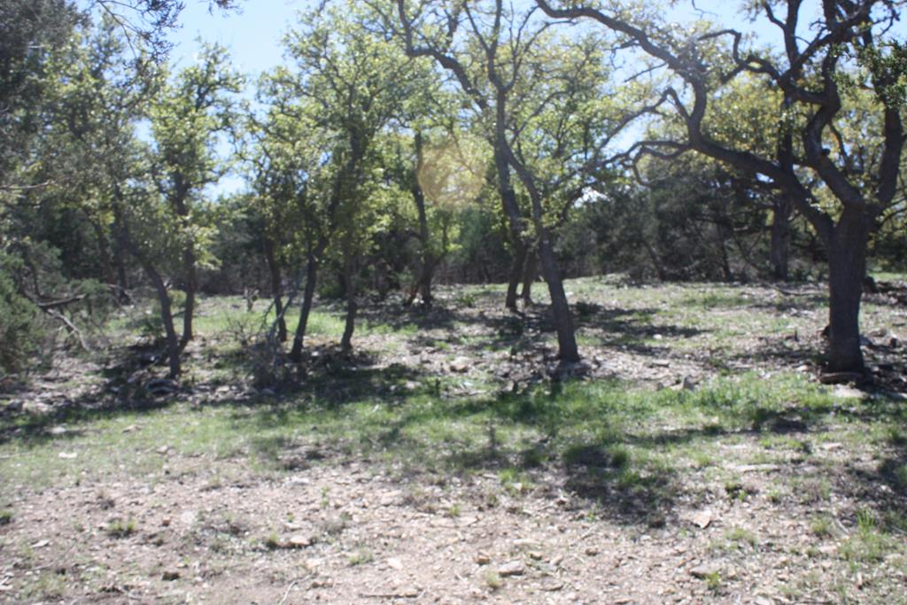 315 Lake Ridge Kerrville TX 78028