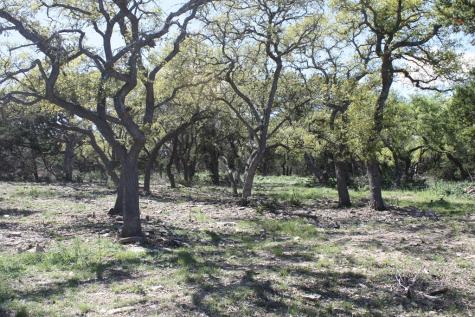 315 Lake Ridge Kerrville TX 78028